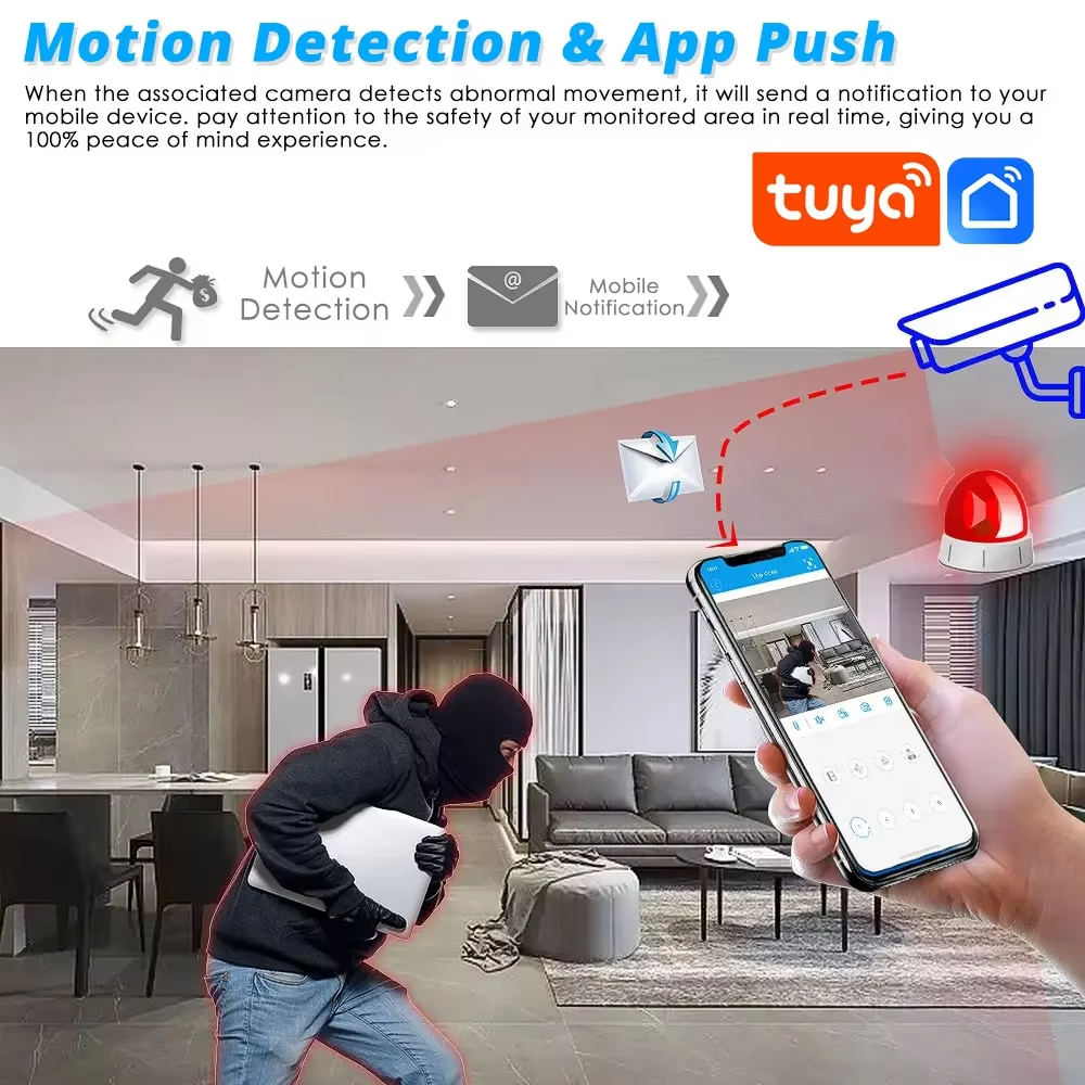 H.265 Smart Video Surveillance - Smart Home Cctv Camera recension och pris