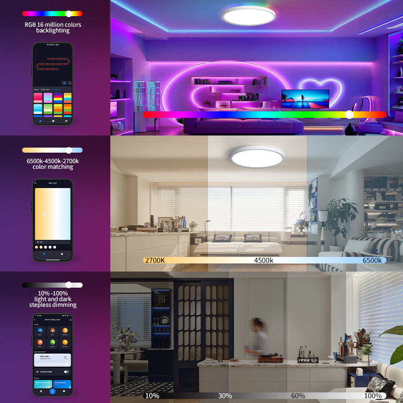 TUYA Ceiling Lamp RGB Flowing  - Smart Home For Pc recension och pris