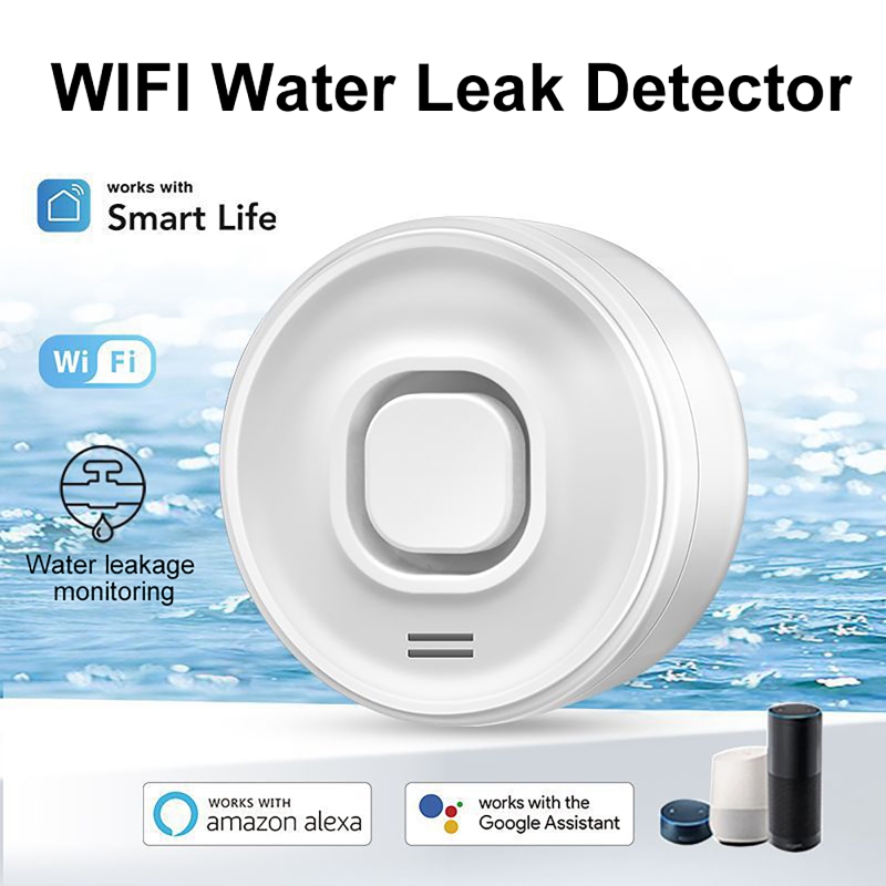Smart WIFI Water Leak Detector - Wifi Water Sensor recension och pris