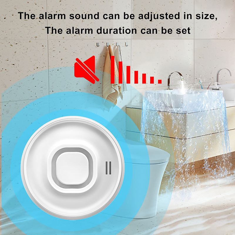 Smart WIFI Water Leak Detector - Wifi Water Sensor recension och pris