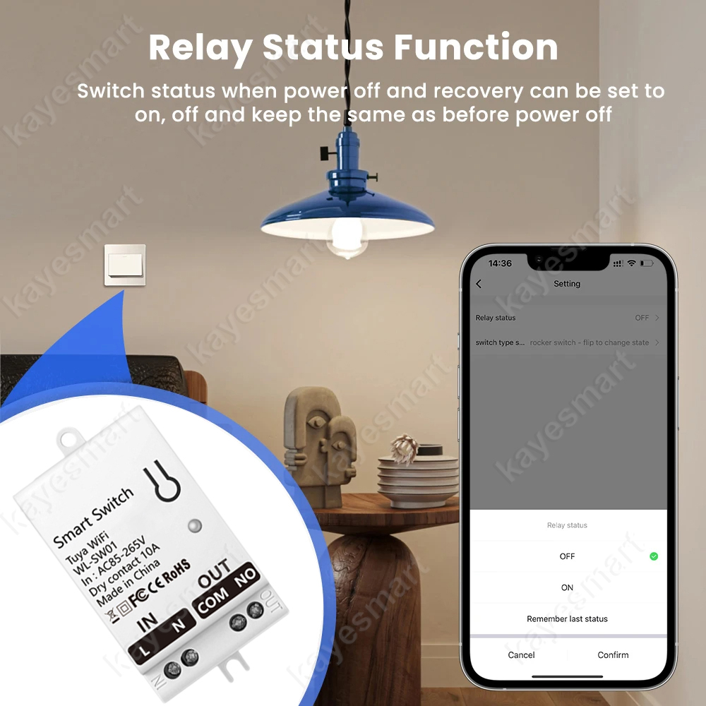 Tuya WiFi Smart Switch Module  - Smart Home Button recension och pris