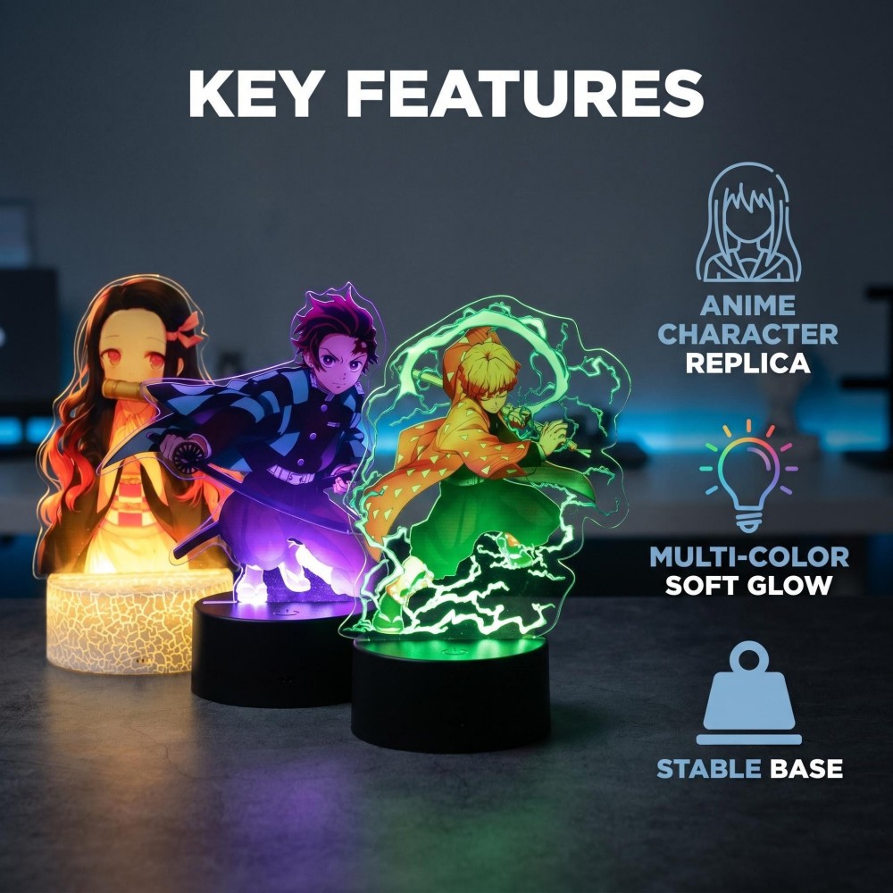 Anime Figure Tanjiro Merch 3D  - Smart Home Decor recension och pris